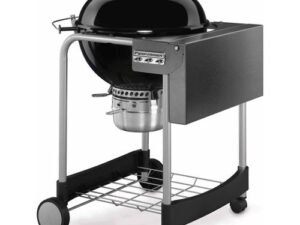 Weber Performer 22" Black Charcoal Grill