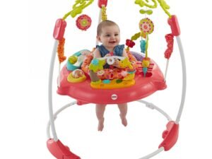 Fisher-Price Pink Petals Jumperoo with Lights & Sounds