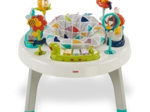 Fisher-Price 2-in-1 Sit-to-Stand Activity Center Playset