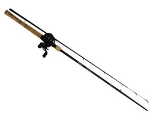 Shakespeare Ugly Stik Elite Baitcast Reel and Fishing Rod Combo