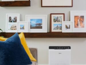 Winix C535 True HEPA Air Purifier with PlasmaWave Technology, 360 Square Feet, 1 Year Worth of Filtration