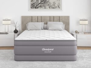 Beautyrest Silver Cushion Aire 20" Queen Air Mattress with Built-in Pump